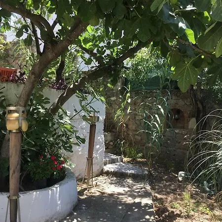 Villa Masal Ev