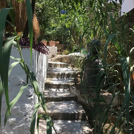 Masal Ev Ortakent